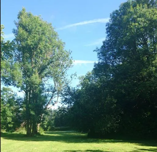 Moulin Des Rondelles *